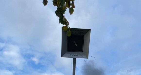 Schuss auf den Vogel